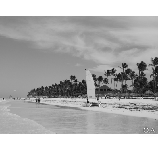 BUSINESS OR PLEASURE?